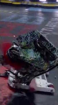 Can this bot survive BRUTAL attack?