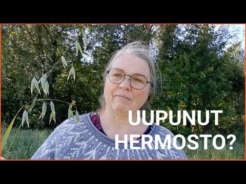Maitokaura uupuneen hermoston tueksi – miksi aloitan sen käytön nyt