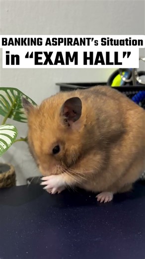 Only Exam Aspirants will Understand #shorts #bankexams #meme #exam #students #banking