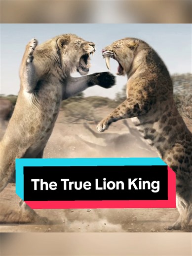 The True Lion King #dinotok #lions #scary #learnontiktok #edutok | american lion