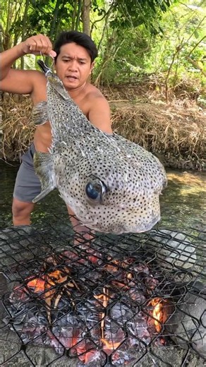 Fisherman Grilled a Giant Porcupine Puffer Fish! 🐡🔥
