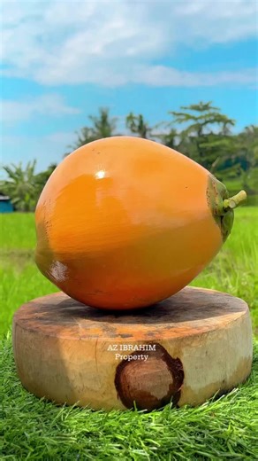 Orange Coconut Cut, So Satisfying. 🌴🥥 #coconut #fruits #satisfying #fblifestyle
