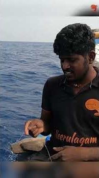Catching Diamond Trevally Fish Using Prawn Bait #fishing #fishingvideos #fishingtime