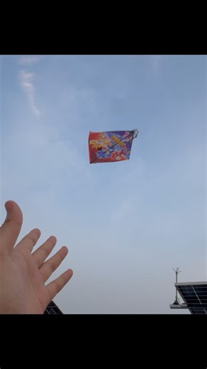 Kite looting ❤️🪁on top roof 😍#kite #kiteflying #patang #patangbazi