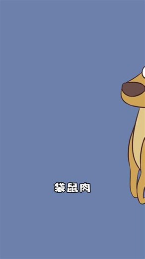 袋鼠肉是什么味道？为什么袋鼠浑身都是肌肉？ #栖霞果蔬夼里红 #我是不白吃 #有趣的知识 #冷知识 #袋鼠
