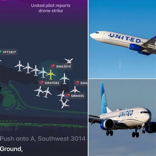 🚨 DRONE STRIKES UNITED 737 AT 3,000 FEET: America's Skies Are No Longer Sovereign Territory – The FAA's Icarus Moment Has ArrivedYesterday, United Flight 1980 — a Boeing 737 from SFO to San Diego — reported a direct mid-air encounter with a small, red, shiny drone while descending through controlled airspace at 3,000 feet. The pilot's words to ATC were unambiguous: “We hit a drone… red drone heading west… so small… red… shiny.” The jet landed safely. No damage. No injuries. Passengers deplaned 