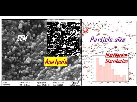 How to Measure Particle size in ImageJ (SEM) with Feret Diameter #research #datascience #original