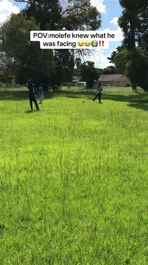 Humorous Dog Chase Moments Captured in POV Style