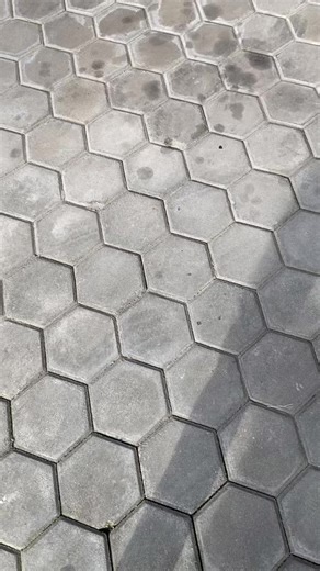 Sogok keri keri keri #sppggaul🤙🏻 #sppgratis #makanangratisprabowo #makananbergizigratis #badangizinasional