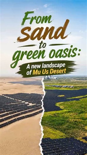 From sand to green oasis: A new landscape of Mu Us Desert