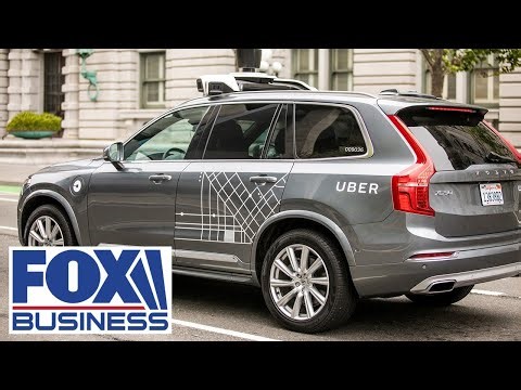 'MISUNDERSTOOD STORY': Stock picker reveals which business has become highly profitable