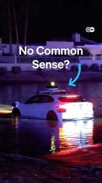 Do Self-Driving Cars Lack Common Sense?