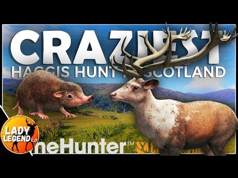 Wild Haggis Hunt Leads Me to MASSIVE NEW PIEBALD RED DEER!!!