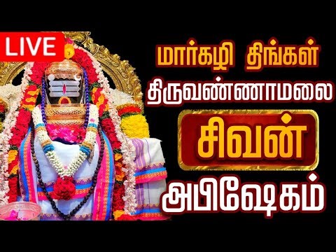 🔴LIVE திருவண்ணாமலை சிவன் மஹா அபிஷேக காட்சி பாருங்க! | Sivan Abhishekam #sivan #abhishekam