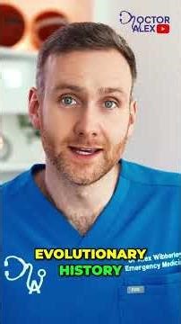 Ultra-Processed Food WRECKING Your Gut: IBS Link Explained! #shorts