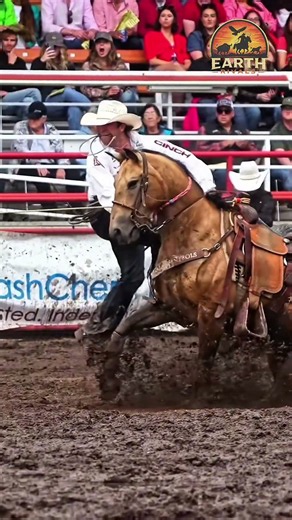 The $1.55 Million Horse in Action… 🐎🔥