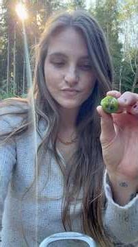 My #Kiwi 🥝 for 4 years now here’s my #harvest - #Love #Gardening #Garden #DIY # OffGrid