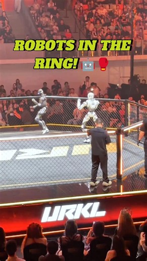 Robot Boxing Is Here 🤖🥊