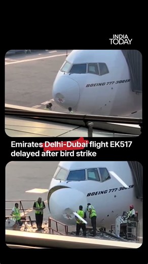 Emirates Delhi-Dubai Flight Delayed After Bird Strike, Departure Rescheduled To 7 AM #dubai