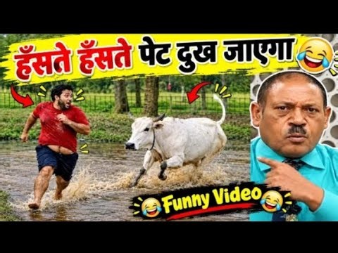 Crazy Funniest Videos 2026 🤣 Try Not To Laugh Challenge😂 Top 100 Funniest Video 🤪 must watch