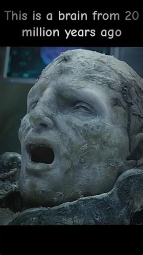 Scientists Found an Alien Head… And Its DNA Matches Humans 👽😱 #viral #trendingnow #youtube #edit