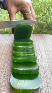 The guy show survival skills Save soap & water #outdoors #bushcraft #camping