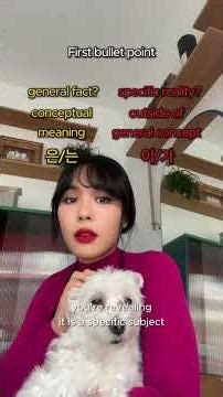 The difference between 은/는 and 이/가 pt.1