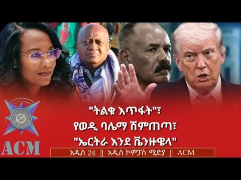 "ትልቁ እጥፋት"፣ የወዲ ባሌማ ሽምጠጣ፣ "ኤርትራ እንደ ቬንዙዌላ"