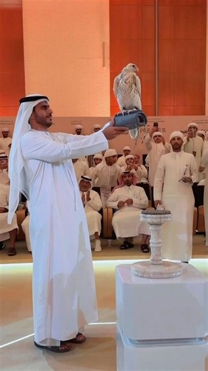 This Falcon Is Worth Millions