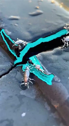 These Nanites Will Fix Anything Instantly! 🤖 #Nanotechnology #FutureTech #Nanobots #Robotics