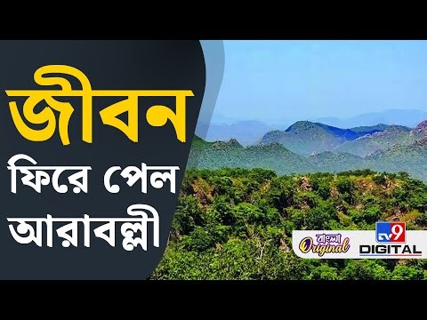 Aravalli Hills News: আরাবল্লী পর্বত নিয়ে বড় সিদ্ধান্ত কেন্দ্রীয় সরকারের | #TV9D