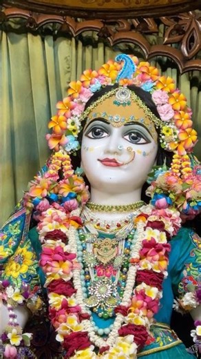 Today’s Divine Sri Sri Radha Madhava Darshan 🌸 | Mayapur ISKCON | আজকের রাধা মাধবের অপূর্ব দর্শন 🙏