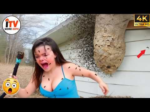 TOTAL IDIOTS AT WORK | Instant Regret Fails Compilation 2026 | Best of the Month #54