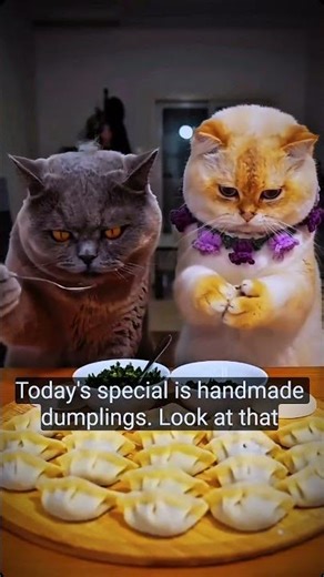 Smart Cat Tried to Be Clever… But Got SLAPPED Instantly! 😂🐱