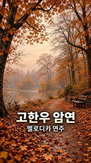 암연 1997 고한우 멜로디카 연주 8090 감성가요 감성발라드 이별노래 슬픈노래 멜로디언