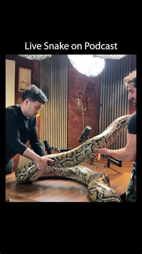 Podcast Out Now ⬆️ | Raj Shamani #Shorts #podcast