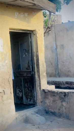 #babbanminester #videoviral #🇳🇬🇮🇳 #viral @BABBAN MINISTER @bakuwar india @Cele_boy bacup ⚡️ @Official cele boy ✅✅