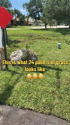 24 pallets of sod… this is what it looks like 😳 landscaping business #sodinstallation #turf #lawncare #lawntransformation #beforeandafter | Garden Aid Landescaping