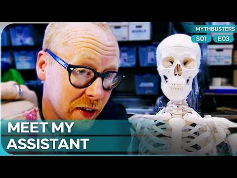 Had to Buy a Real Skeleton for the Most Absurd Experiment Ever | Mythbusters Season 1 Episode 3