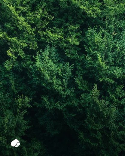 The IDC MarketScape evaluated 16 service providers for its Worldwide Sustainability Strategy Services 2026 Vendor Assessment and named Capgemini a Leader.