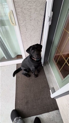 WILLIS IS NOT A FAN OF THE COLD AND WANTS THE BREAKFAST INSIDE