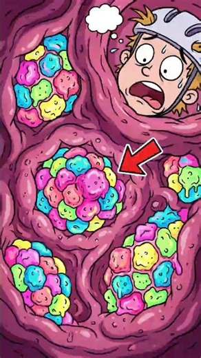 The 7-Year Gum Myth Is a Lie (And It’s Worse Than You Think)