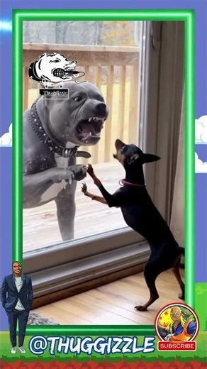 Talkin Ish Regret Level 1000 #shorts #viral #fyp #trending #funny #lol #laugh