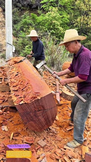 Axes in Harmony: How Two Craftsmen Carve a Log Into Architectural Timber