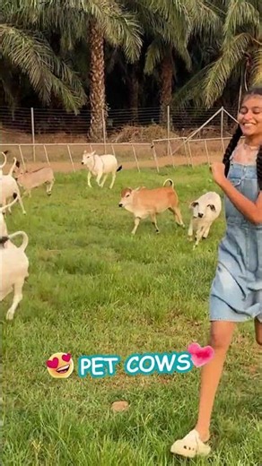 Cutest thing you’ll see today. Period. #cow #pal #wow #lol #now #vid #fyp #yt