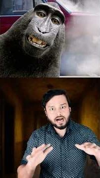 LOL! 1,500 DIESEL Private Jets Came To Discuss POLLUTION Problem! #shorts