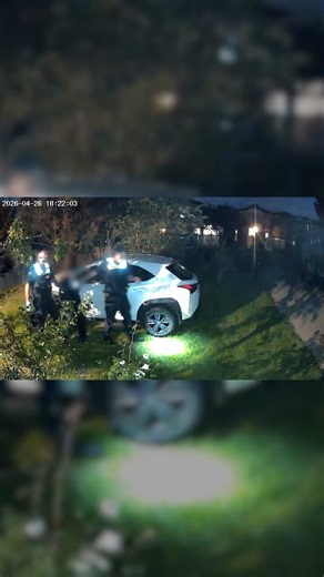 A quick-thinking Bentleigh father has been hailed a “neighbourhood hero” after tackling a teen intruder who fell into his neighbour’s pool while fleeing police after allegedly crashing a stolen Audi. > https://t.co/5mtepE5gxw