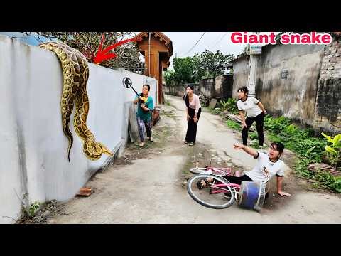 Terrifying! 3 Brave Female Hunters Rescue a Girl from Giant Pythons in an Abandoned House