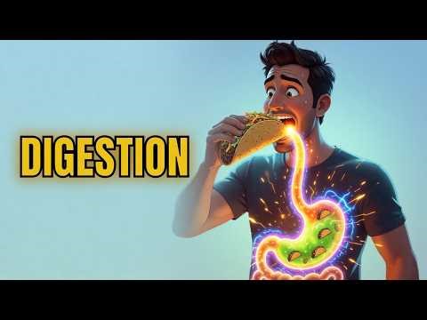 How Digestion Works (From First Bite to… You Know 😳)