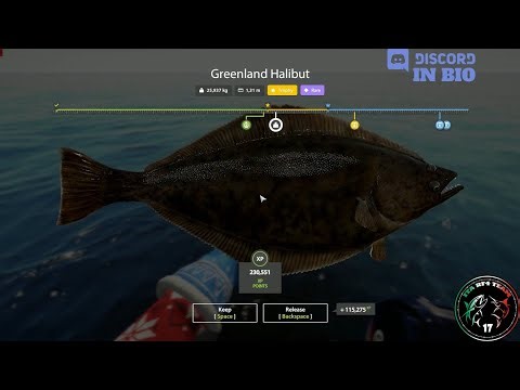 Norwegian Sea spot, Trophy Greenland Halibut - #103 - Russian Fishing 4 / RF4